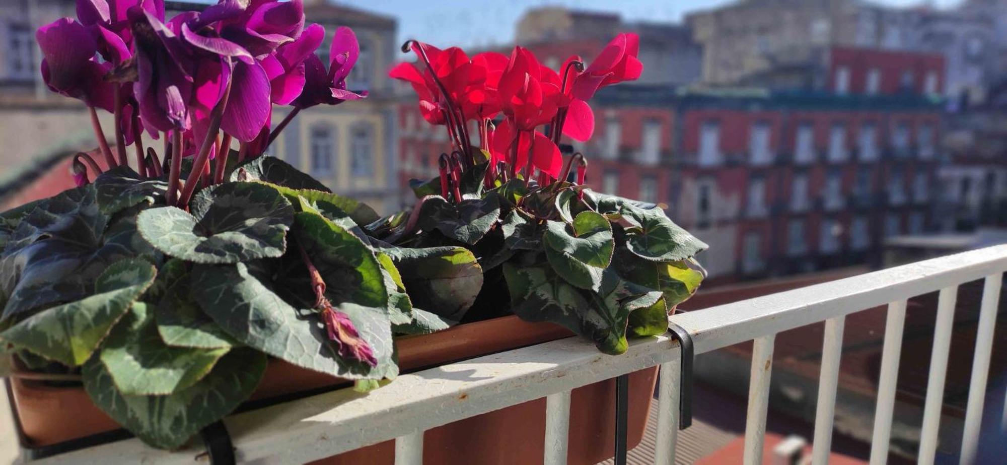 Terno Su Napoli Sanita Acomodação com café da manhã Exterior foto